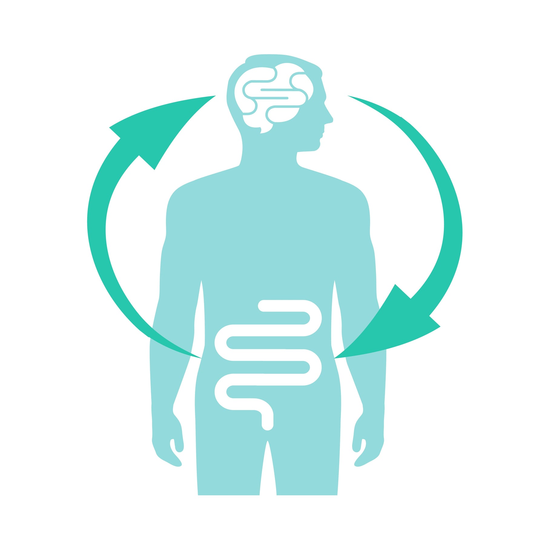 Brain gut connection