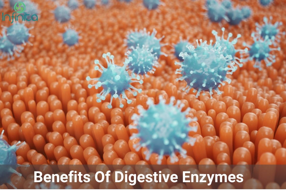 You are what you digest: Food Enzymes