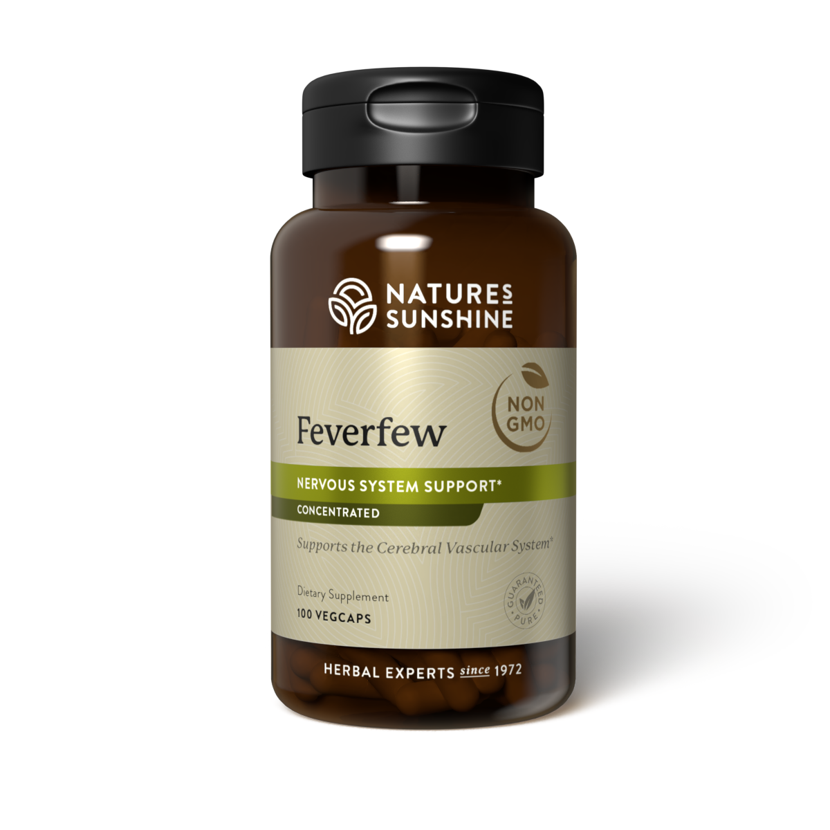 Feverfew
