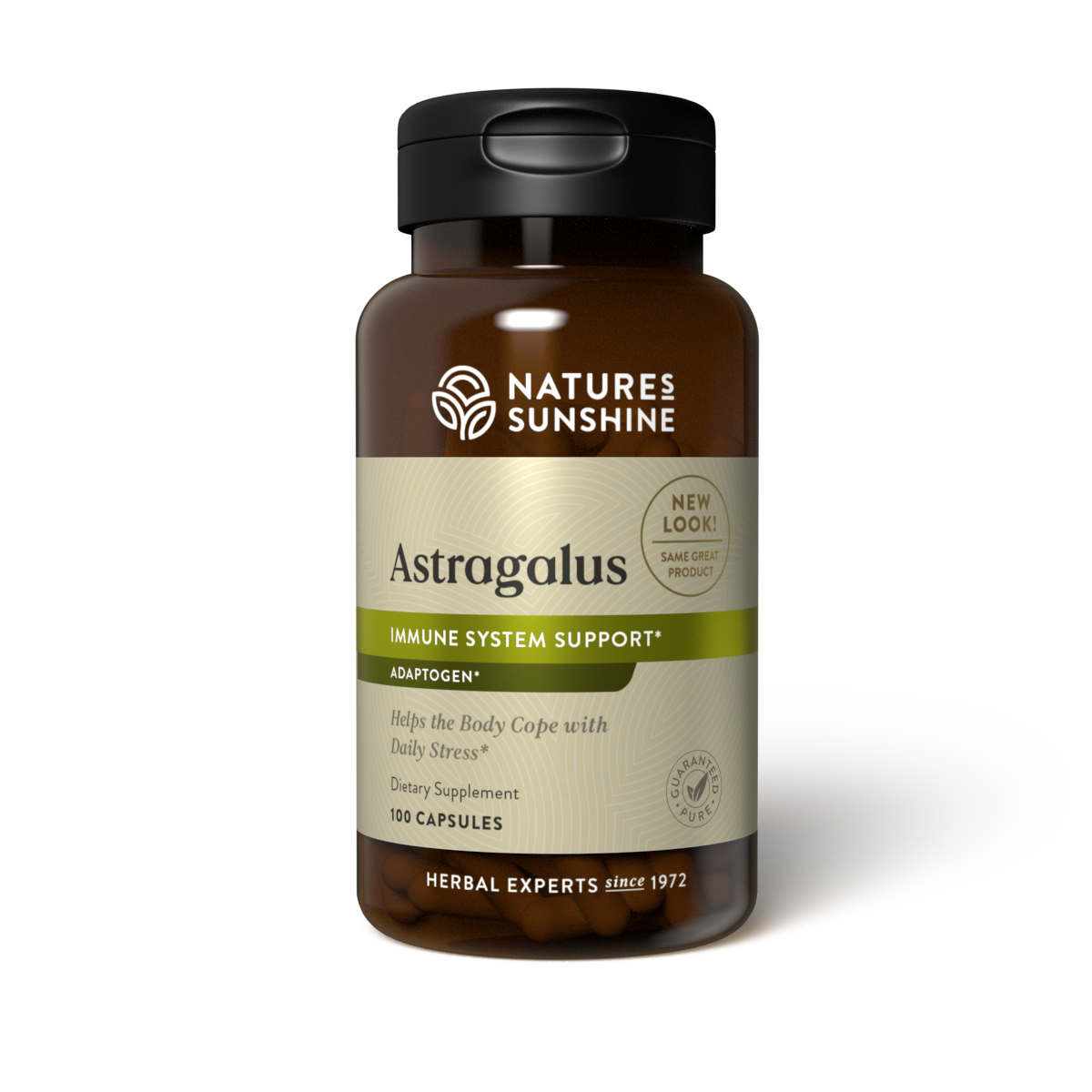 Astragalus