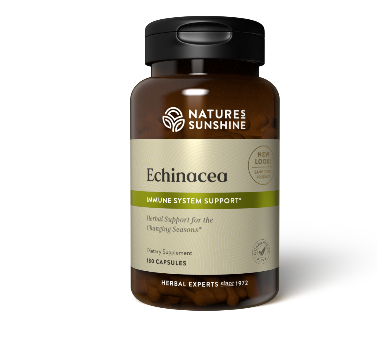 Echinacea