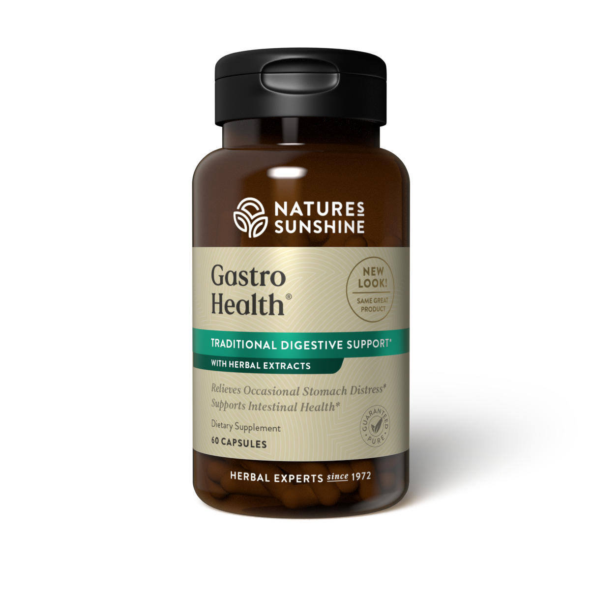 Gastro Health - SHORTDATED