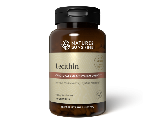 Lecithin