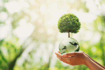 hands holding glass world globe with tree