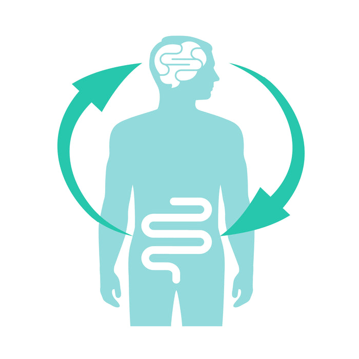 Brain gut connection