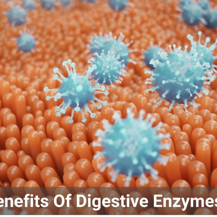 You are what you digest: Food Enzymes