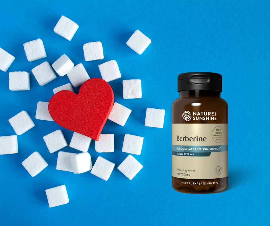 Berberine: Natural Metabolic Support for Your Summer Wellness Goals