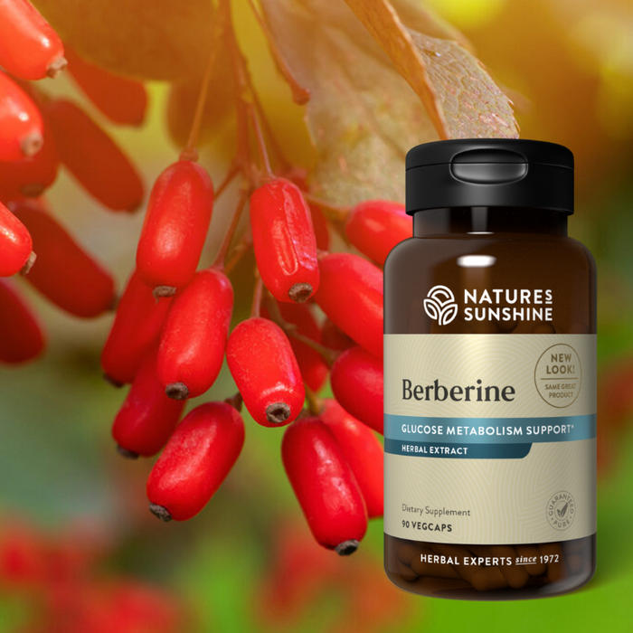Berberine - Is it Natures Ozempic?