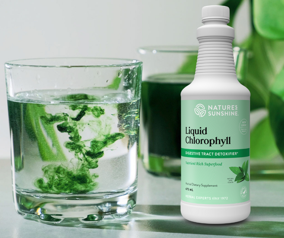 Natures Sunshine liquid chlorophyll bottle and glass 