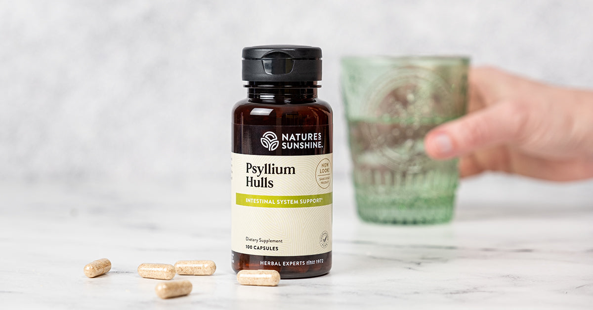Natures Sunshine Psyllium Hulls