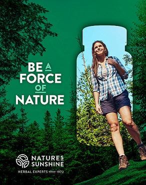 Women hiking in the forest