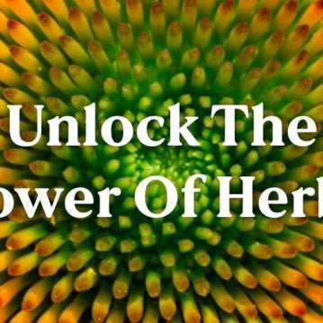 Unlock The Power of Herbs