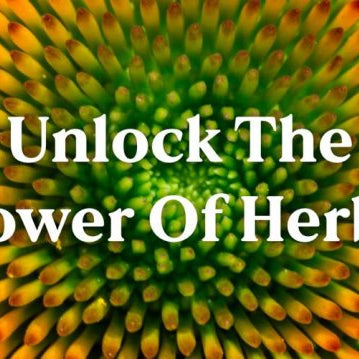 Unlock the power of herbs banner