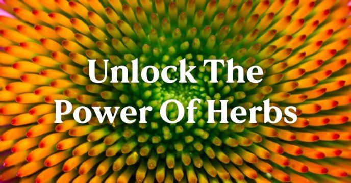 Unlock The Power of Herbs