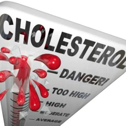 Cholesterol – Friend or Foe?