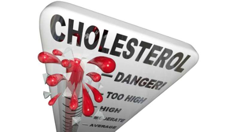 Cholesterol – Friend or Foe?