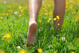 Walking in nature
