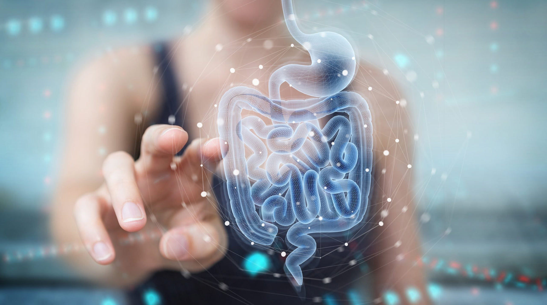 woman pointing to image of the gut 